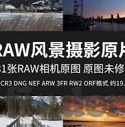 法国世界杯二队阵容-法国世界杯二队阵容，星光熠熠的替补力量